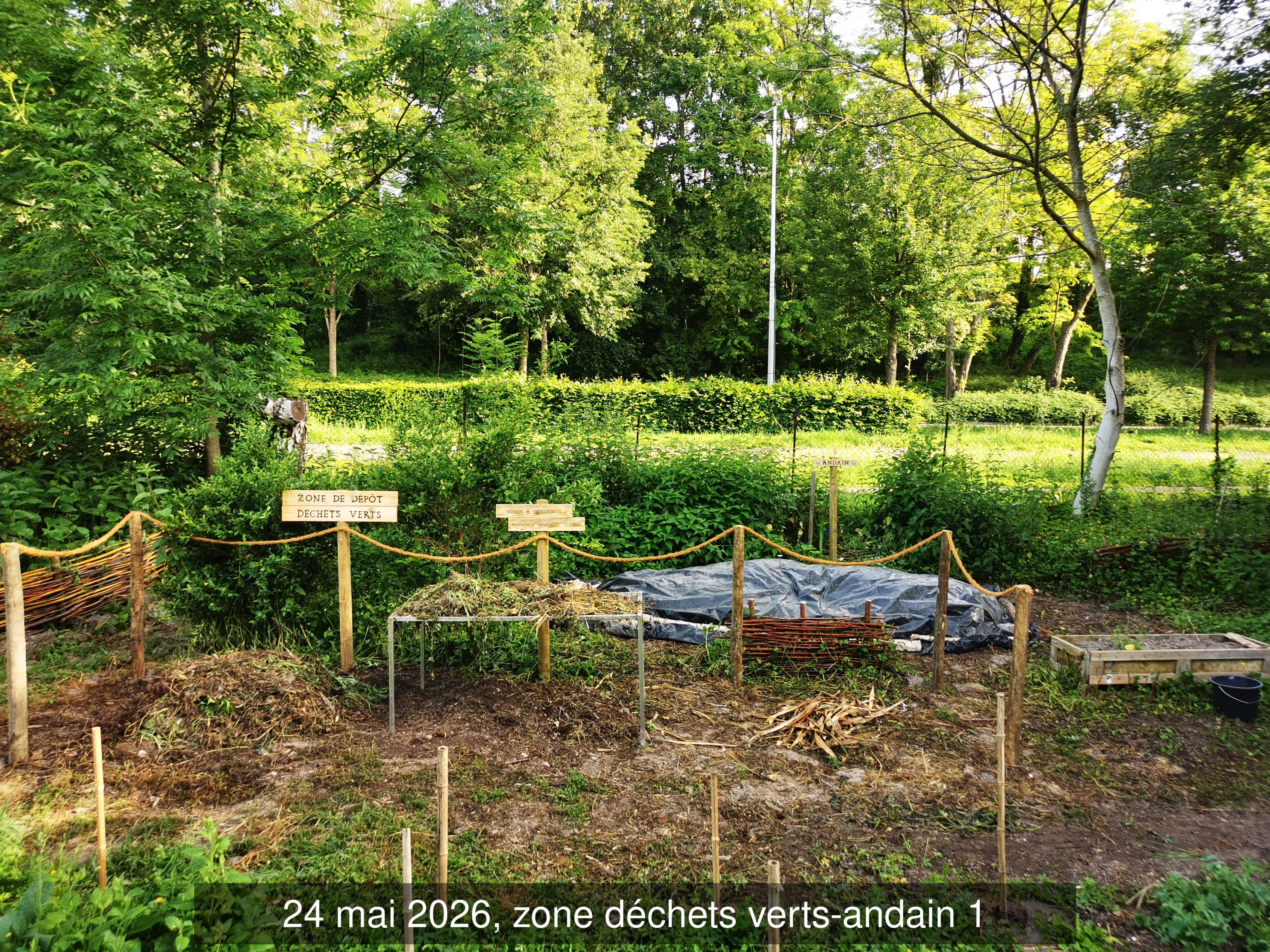 109_dechets_verts_andain_1