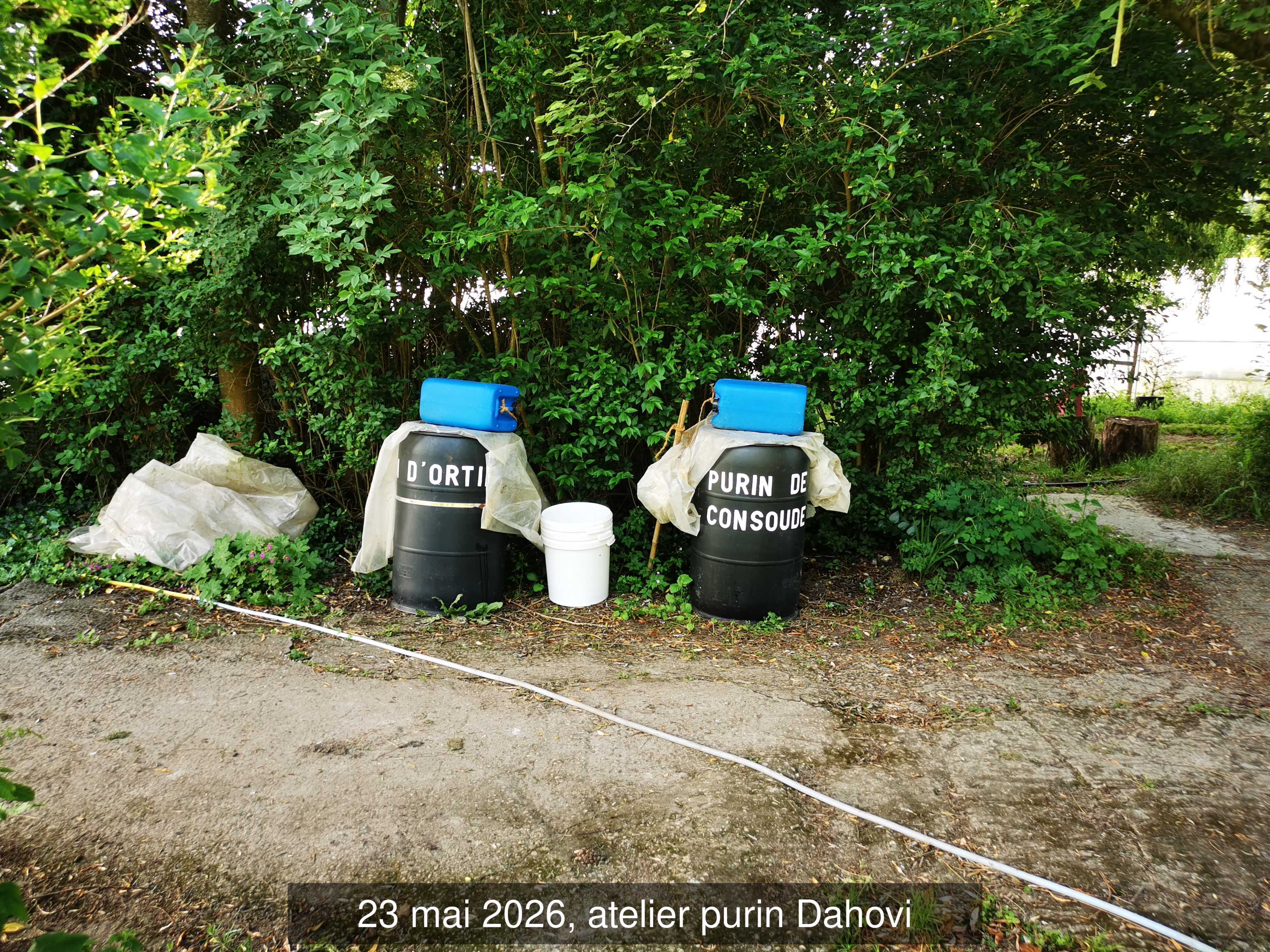 110_purin_tonneaux
