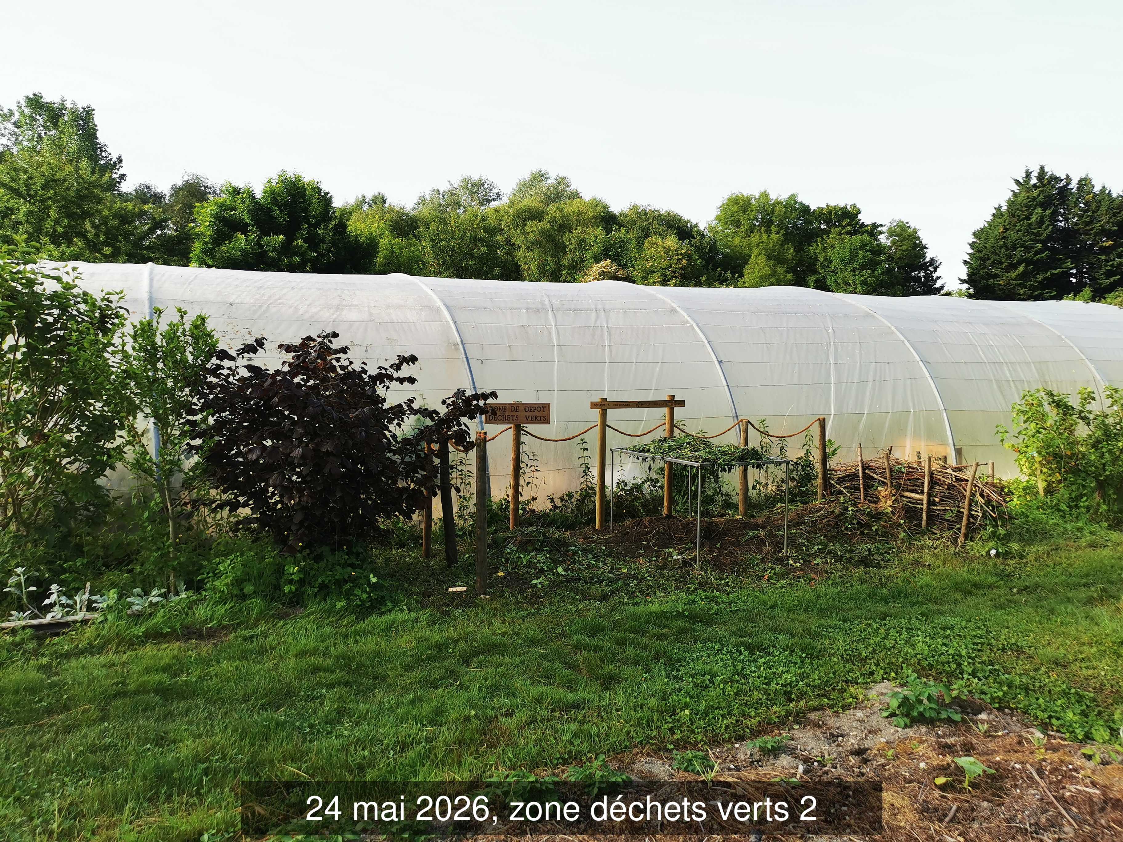 115_dechets_verts_andain_2