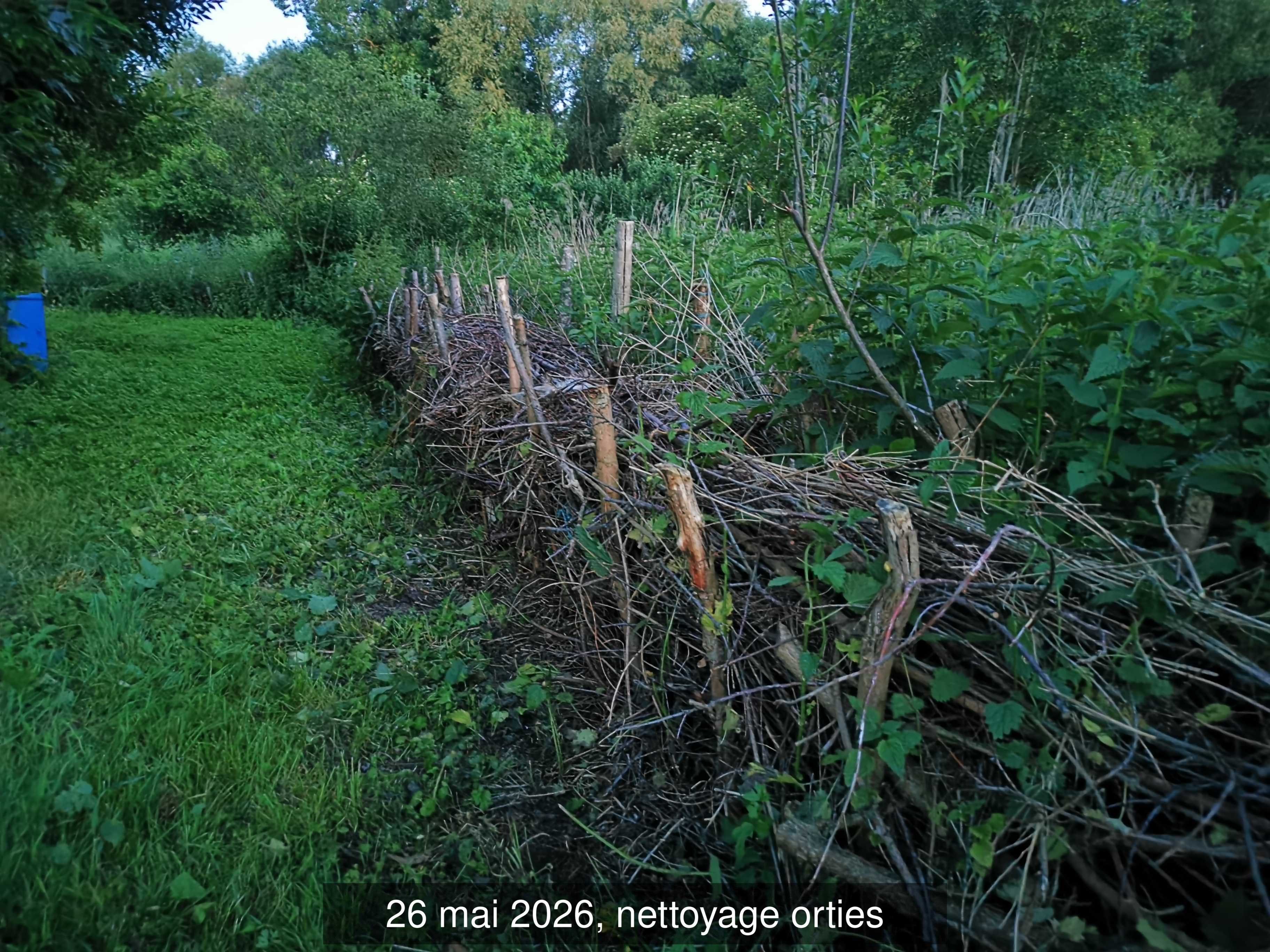 119b_nettoyage_orties_20260526_221221